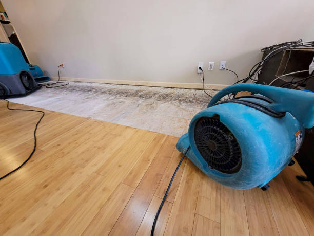 Professional Basement Flood Cleanup technician working in Englewood, TN
